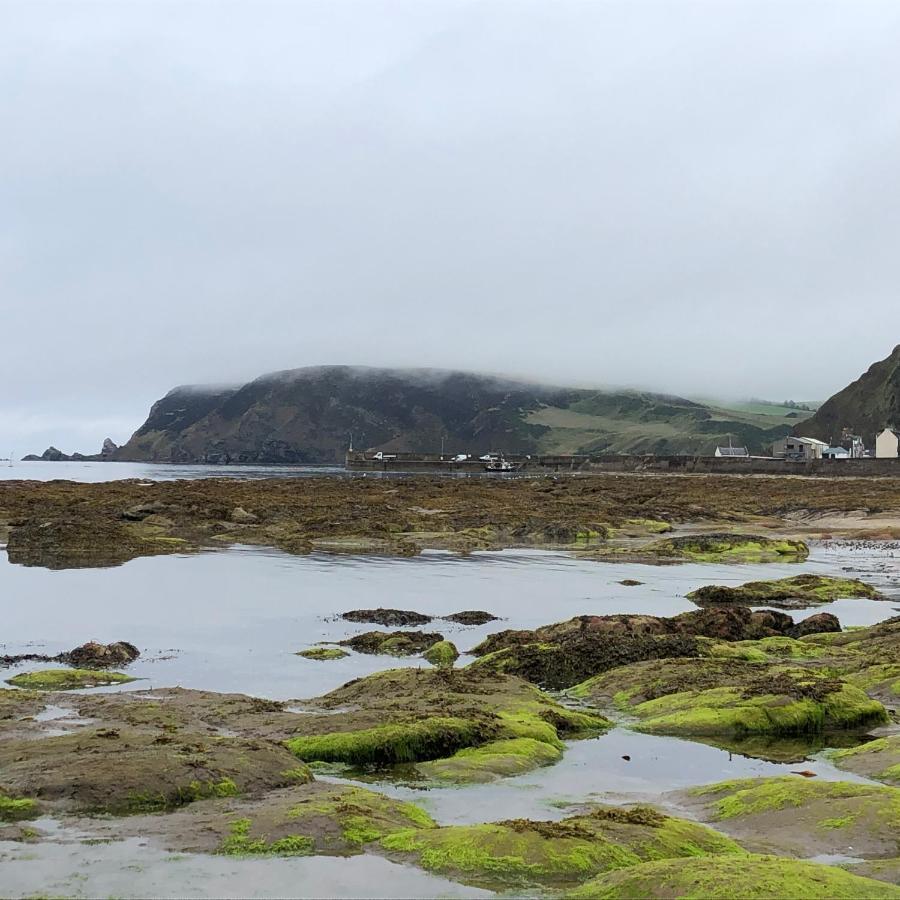 Puffins Nest Villa Gardenstown Eksteriør billede